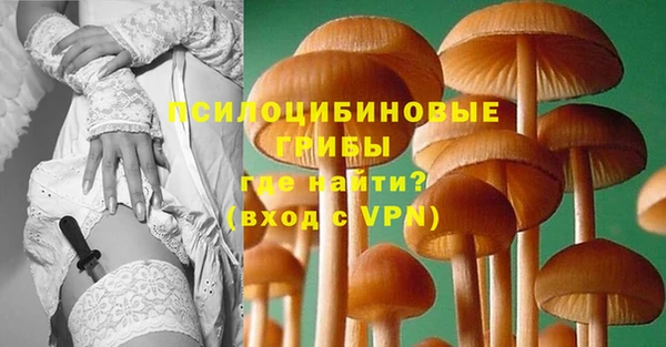 альфа пвп Гусь-Хрустальный