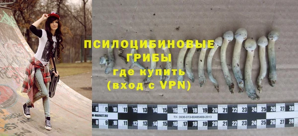 альфа пвп Гусь-Хрустальный