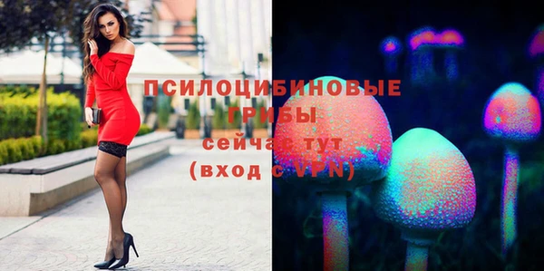 соль ск Гусиноозёрск