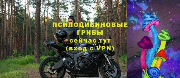 альфа пвп Гусь-Хрустальный
