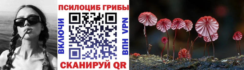 Галлюциногенные грибы мухоморы  Новосиль 